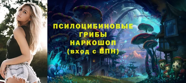 ешки Армянск